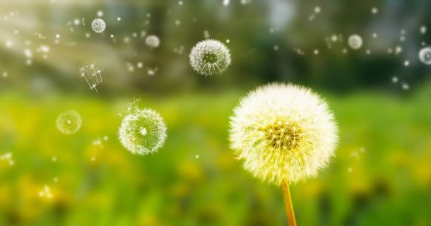 doctorscare-clarksville-tn-common-spring-illnesses